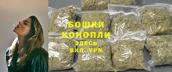 крисы Арсеньев