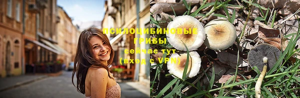альфа пвп Армянск