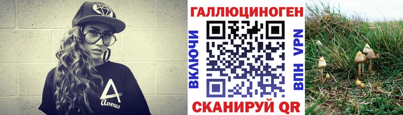 купить   даркнет телеграм  Псилоцибиновые грибы мухоморы  Махачкала 