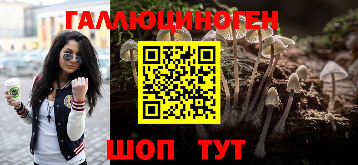 Галлюциногенные грибы Psilocybine cubensis  Вход с VPN  Махачкала 